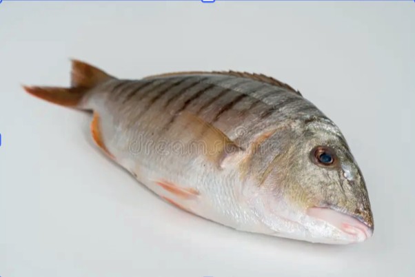 Poisson