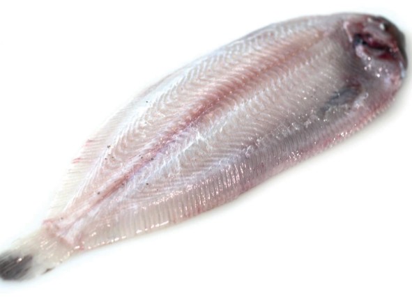 Poisson