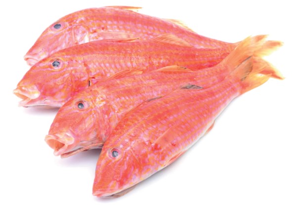 Poisson