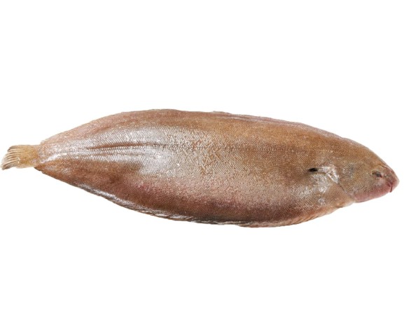 Poisson