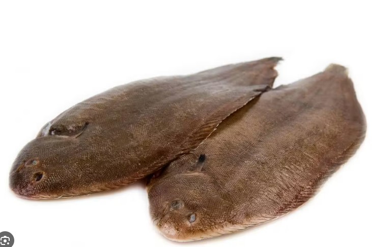 Poisson