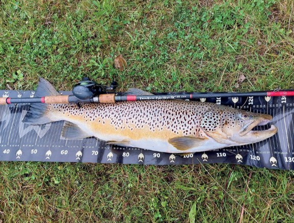 Poisson