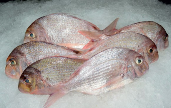 Poisson